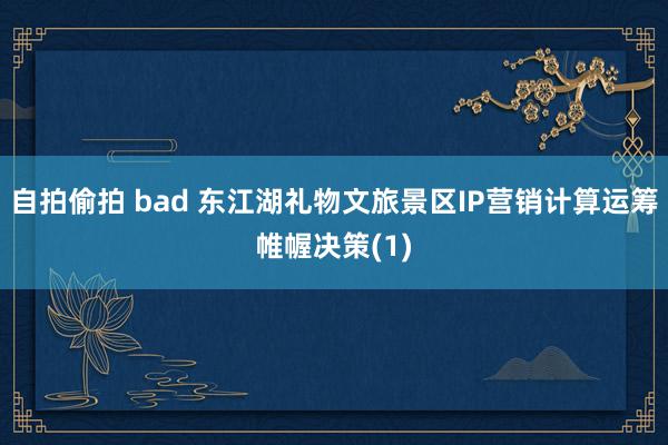 自拍偷拍 bad 东江湖礼物文旅景区IP营销计算运筹帷幄决策(1)