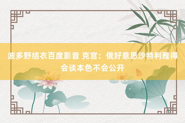 波多野结衣百度影音 克宫：俄好意思沙特利雅得会谈本色不会公开