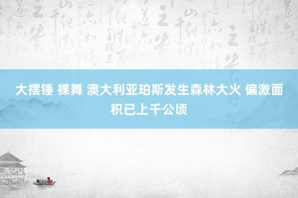 大摆锤 裸舞 澳大利亚珀斯发生森林大火 偏激面积已上千公顷